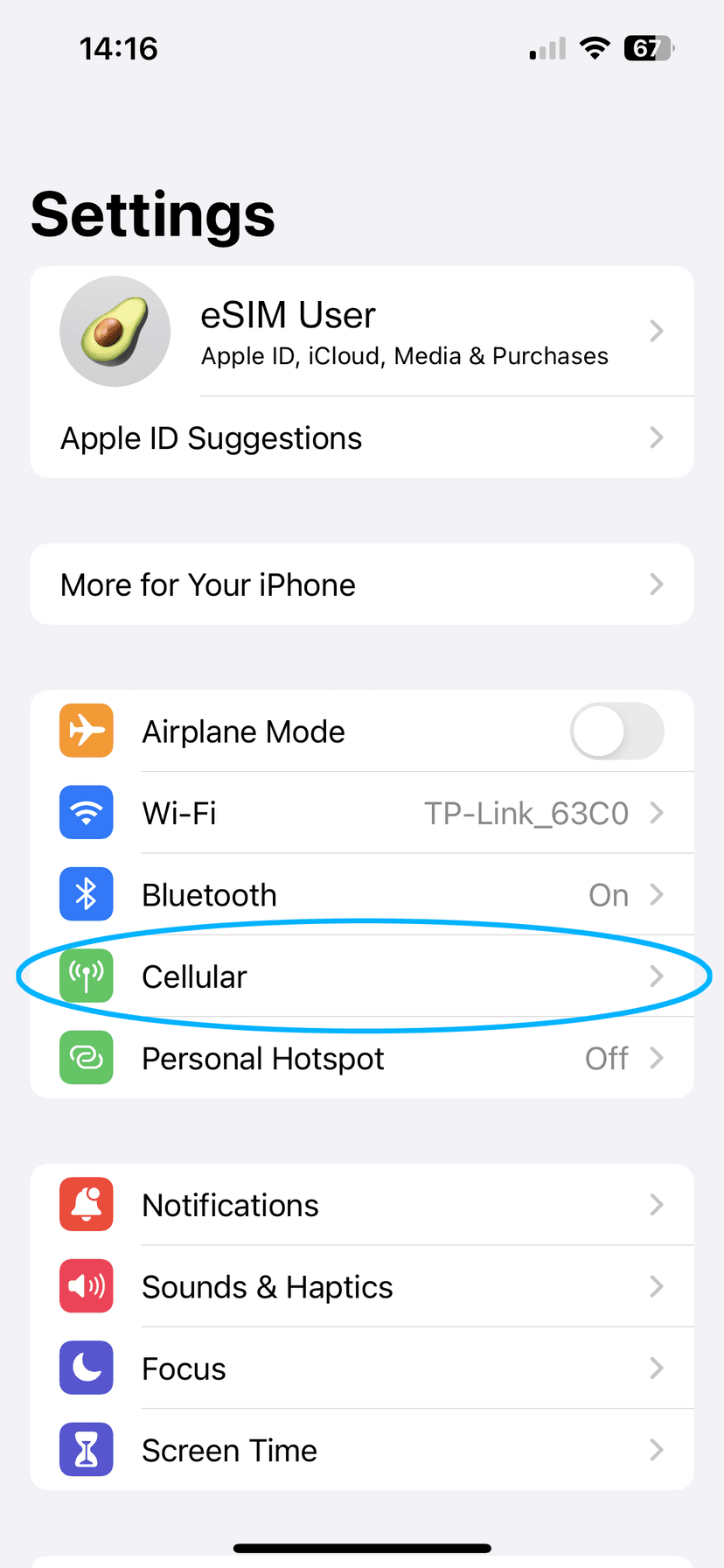 Settings screen showing Cellular option