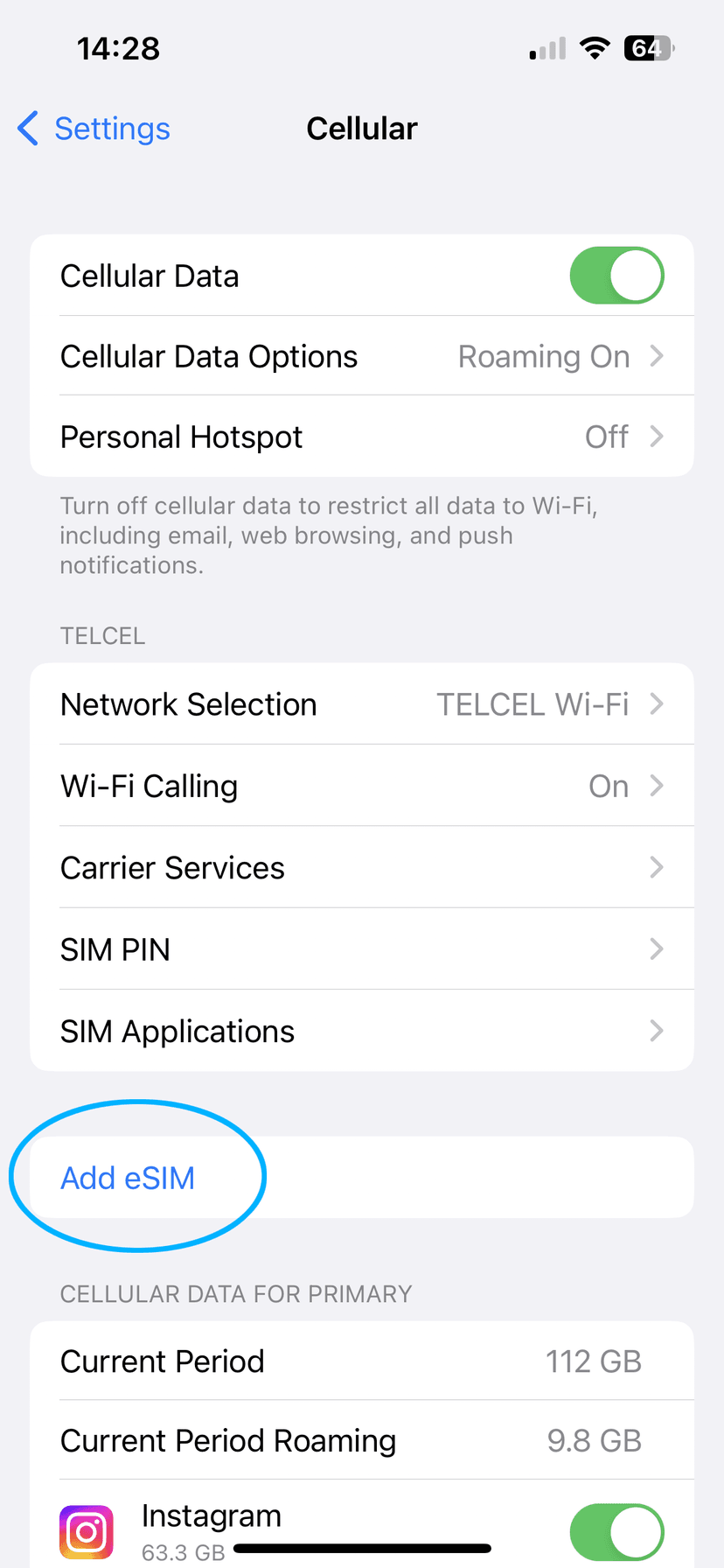 Cellular screen showing Add eSIM button highlighted