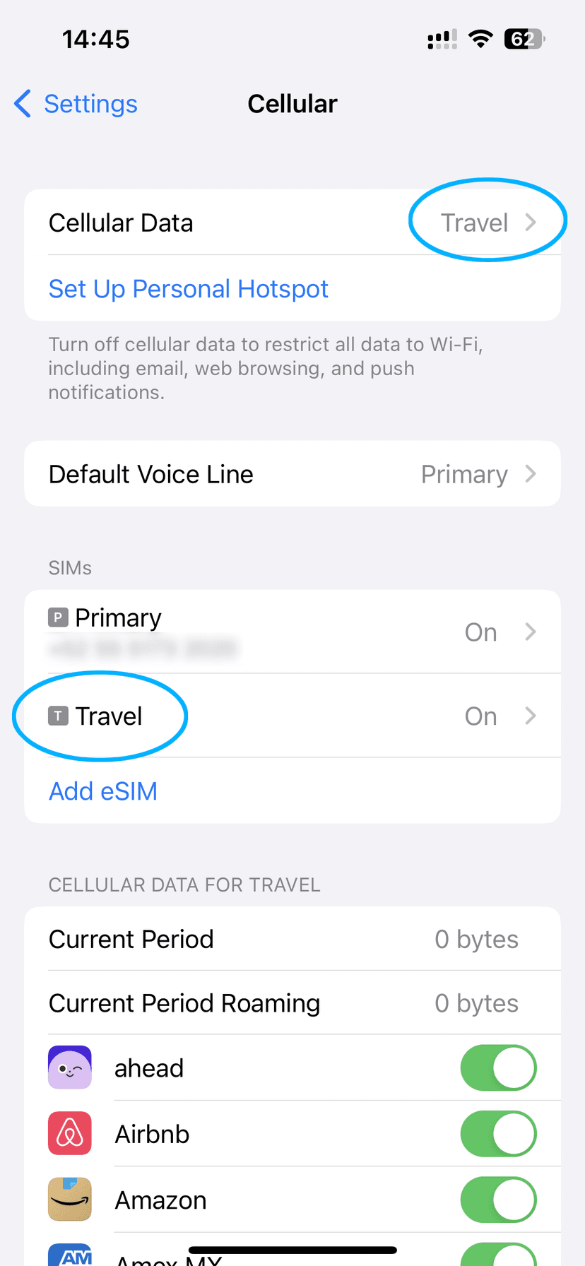 Cellular screen showing Travel eSIM selected