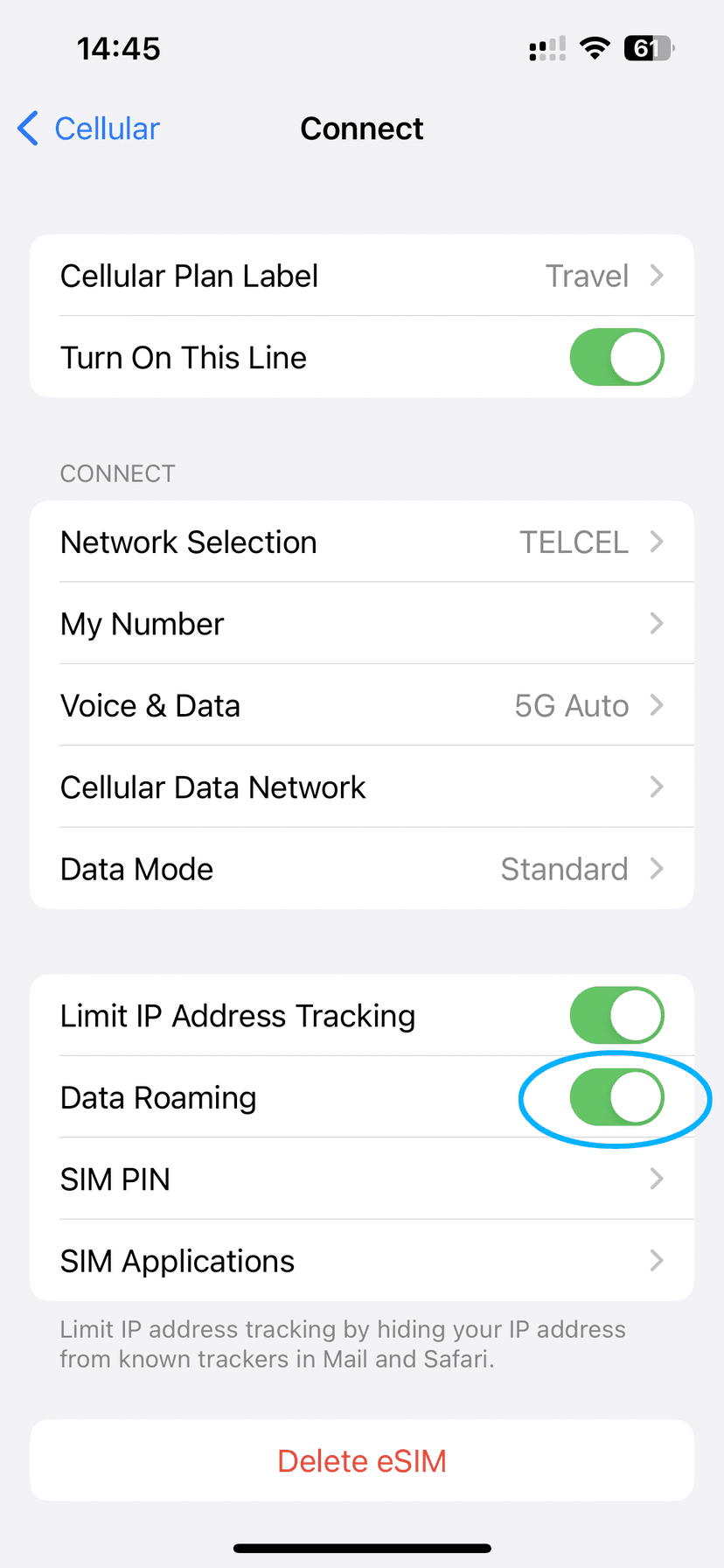 eSIM settings screen showing Data Roaming toggled on
