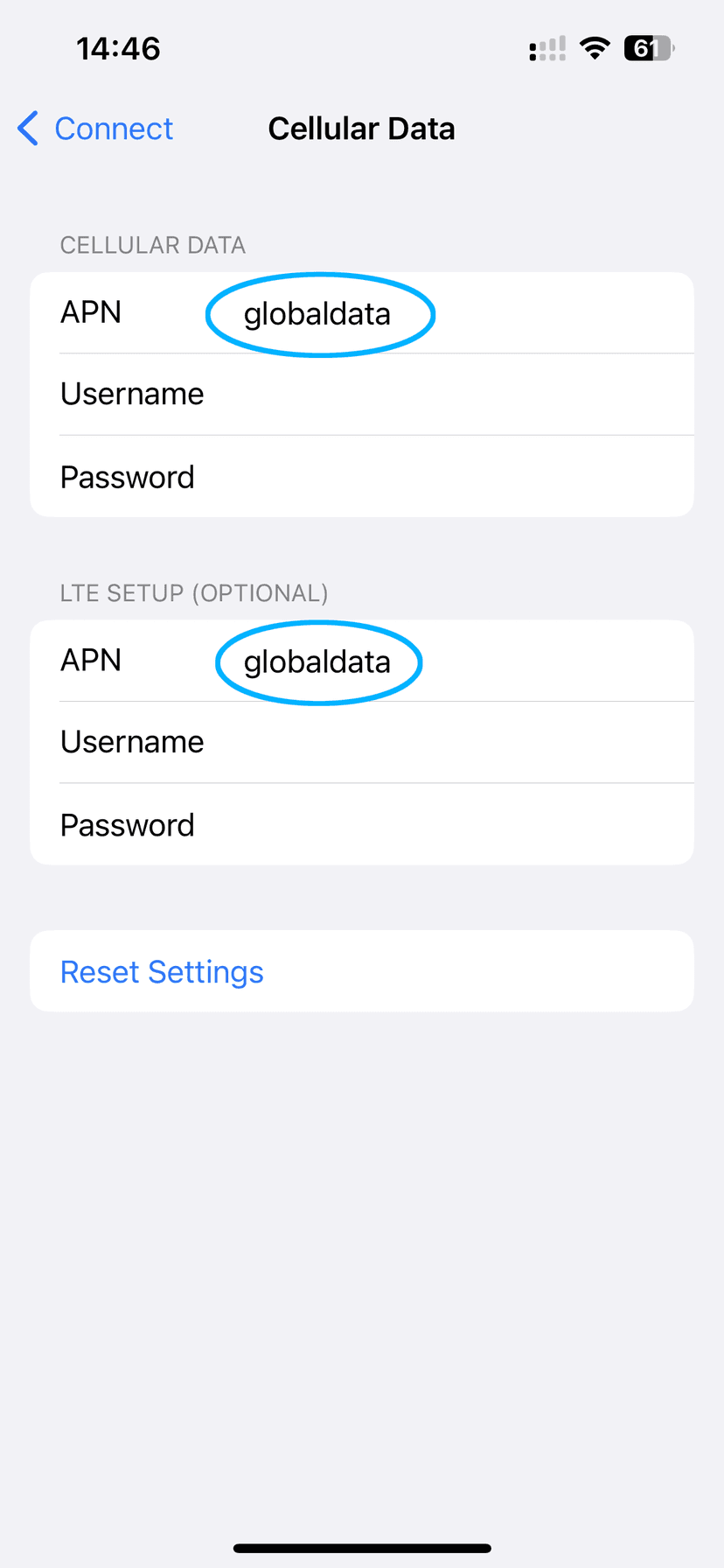Cellular Data Network screen showing APN field