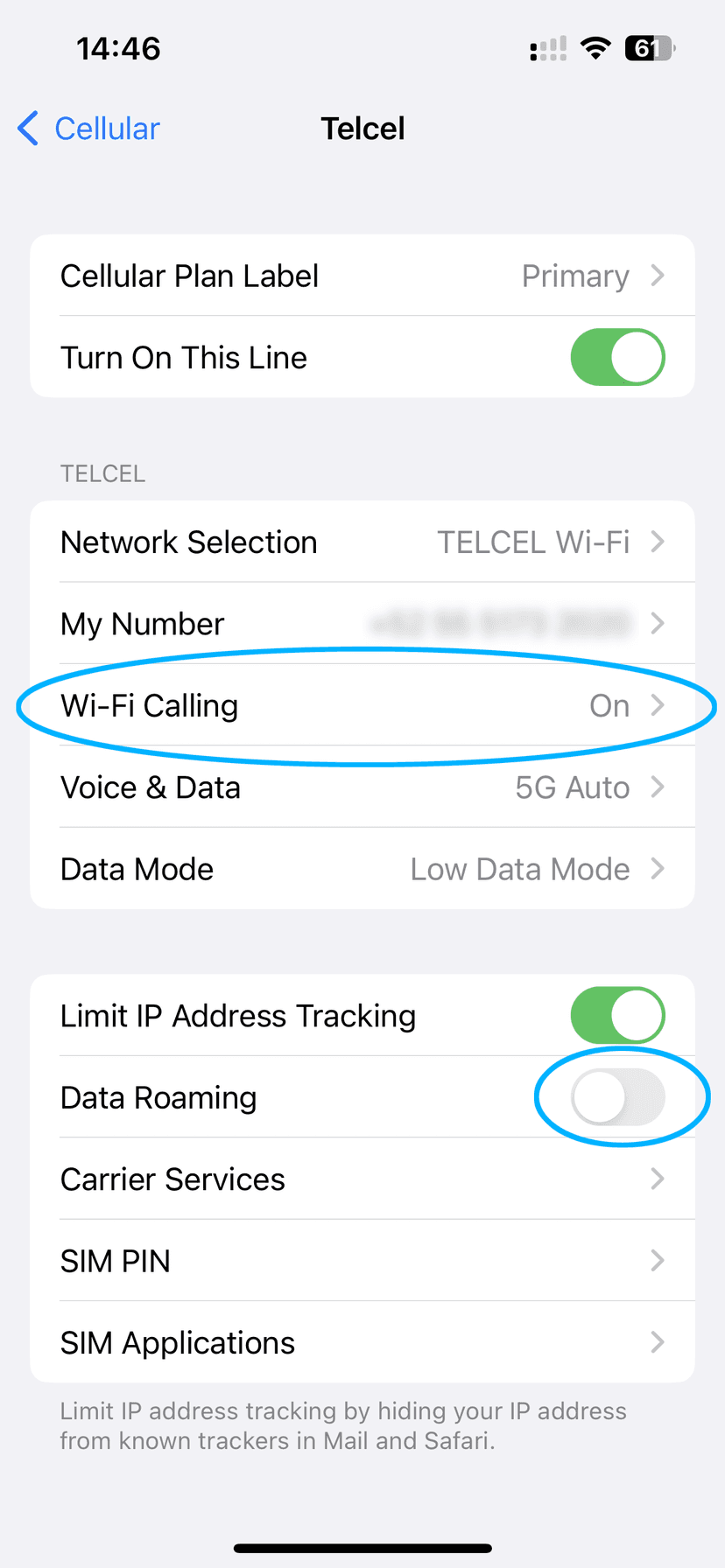 Cellular settings screen showing Primary line with Wi-Fi Calling option